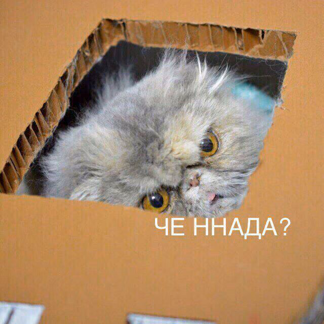 8c04e465daec9959a048ddb2d9ad599f.avif
