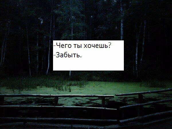 8c09f72499a85df11209fed798baecfb.avif