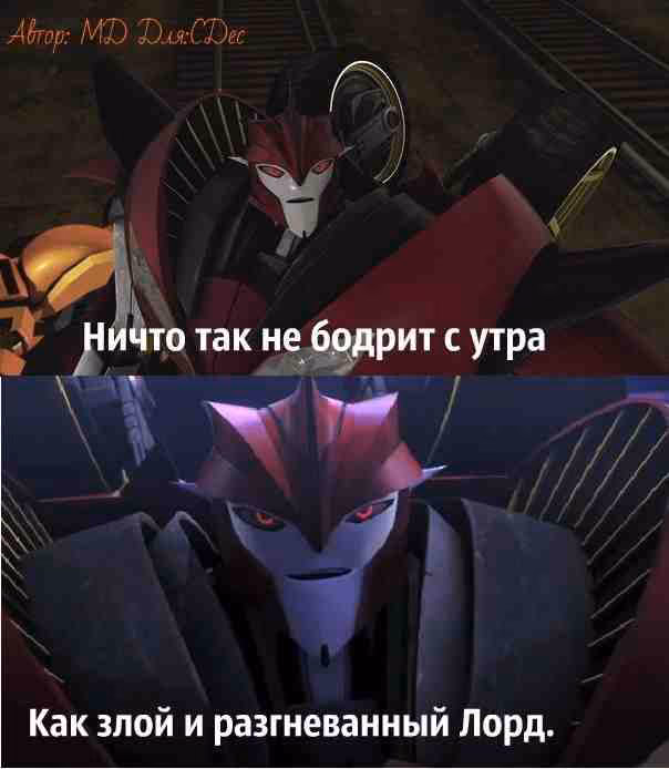 8c1a8e1d551476498ad7a02d35cbb838.avif
