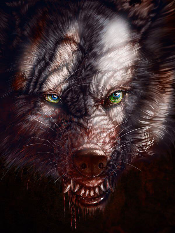 8c4f7a059569e2bfae96f16de874a0a7.jpg