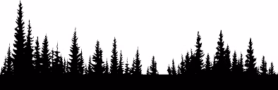 8c78c0150133965bc5bfdf9816d3a1c3.jpg