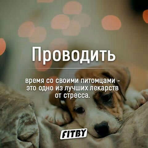 8c79fdacfc8d2214682e9b69581ecf63.jpg