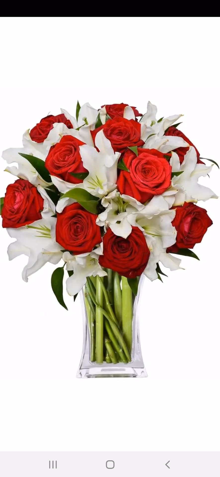 8c7d82b4ef1014fe2bed1fda2f1bb70b.jpg