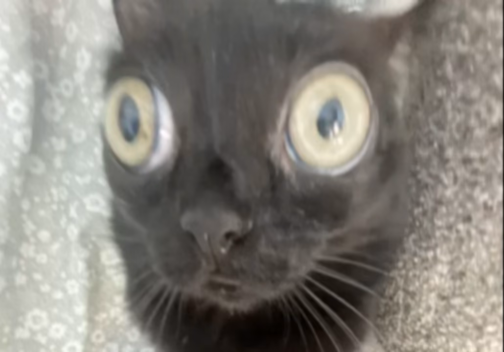 8c80c35e0ad614184fd156f36929bc45.jpg