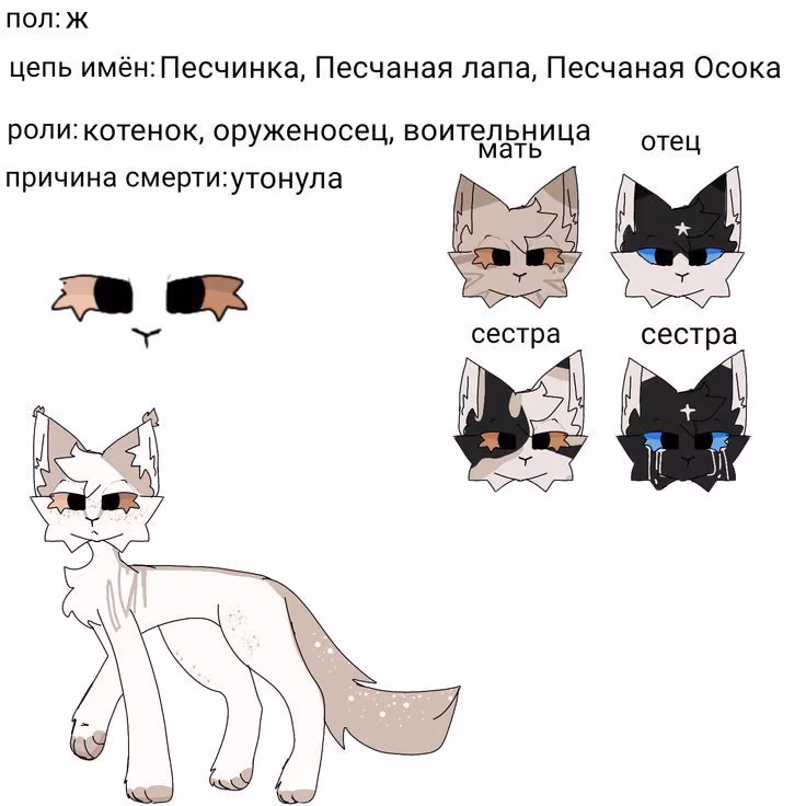 8c81ea793eab9e27f9f2c00352df1b2c.avif