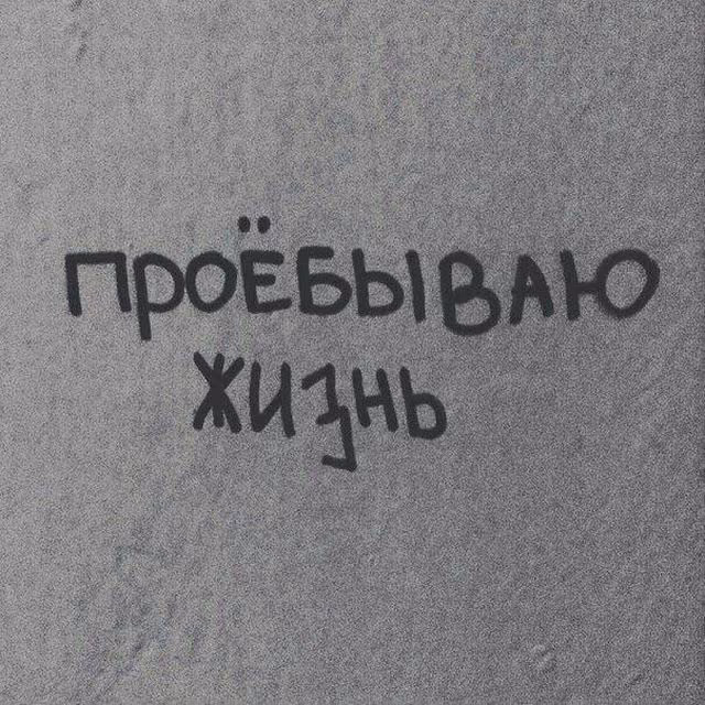 8c87116eb11651435a3d35e6d5aff762.avif