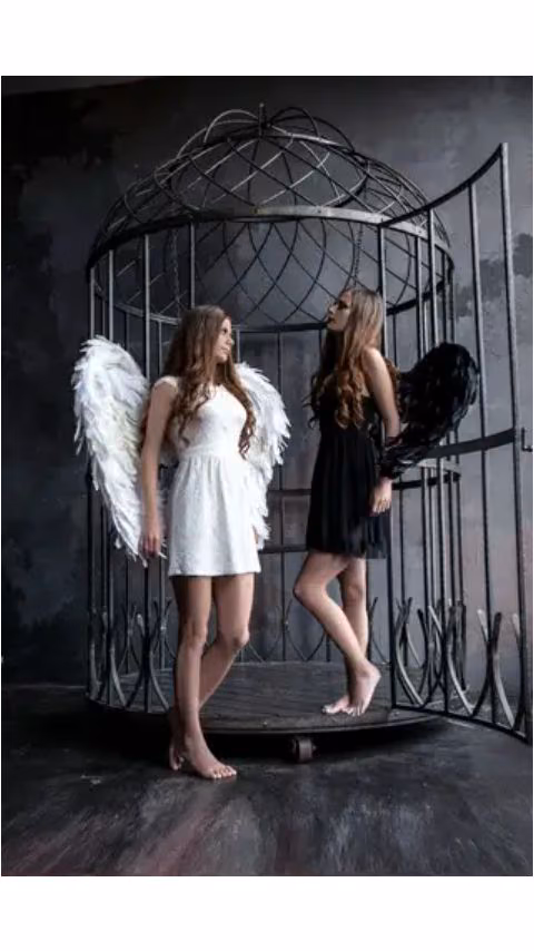 8c909f3d121c73155608d4368f7febdc.avif