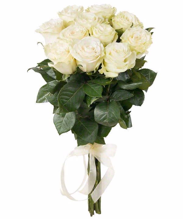 8c90c424b6beaffeda1fb7ca765daa45.jpg