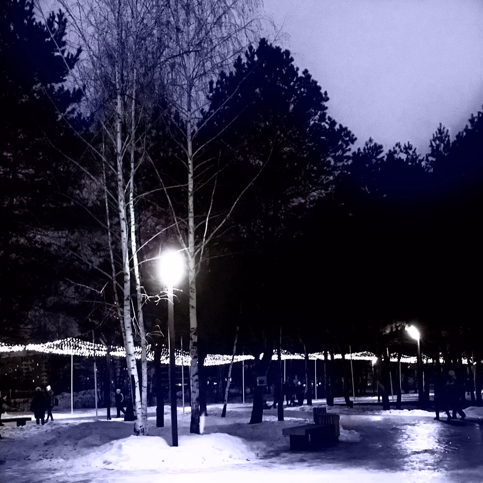 8c917f8e35eb165e192f3e99e36df8a3.jpg