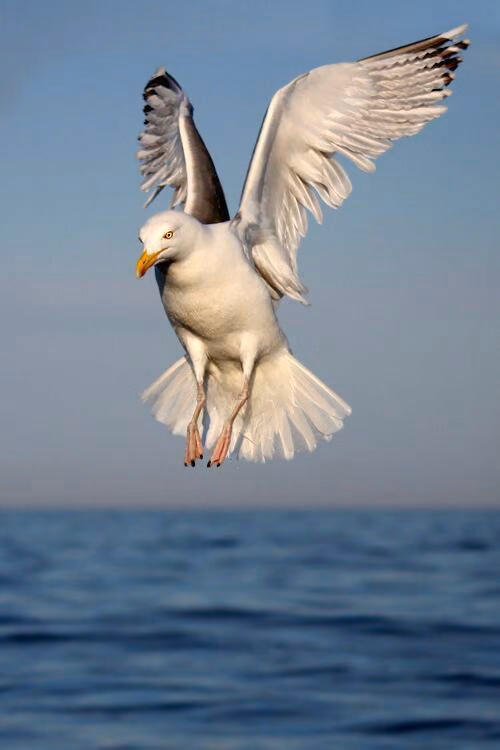 8c92330997ef678bd703e2b1a5cf8147.avif