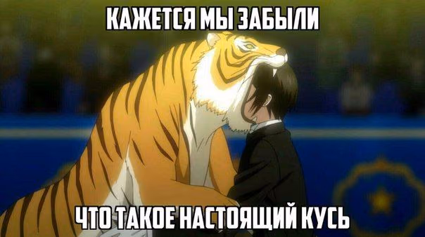 8c92d18293fbce5a9ba1d0a17bd15e31.avif