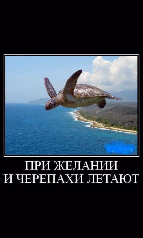 8c990228ba4bf8a900f4b7d79133c9be.avif