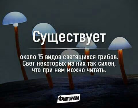 8cb232b0fa5b5f118096f25930396f23.jpg