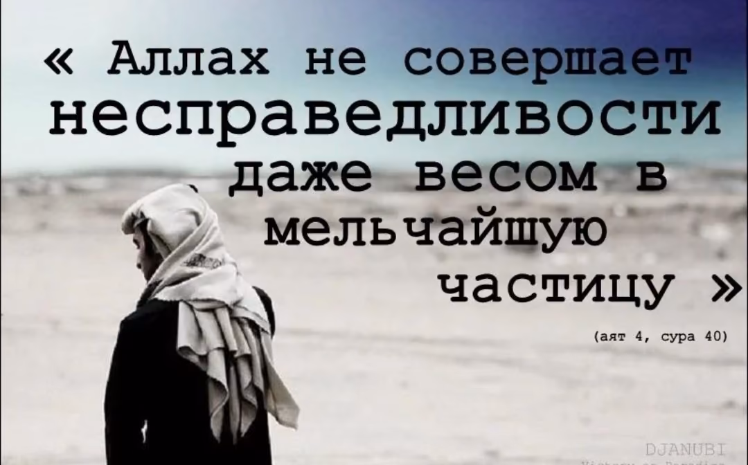 8cb32baf1ea018b0ea6e398d677e55a6.avif