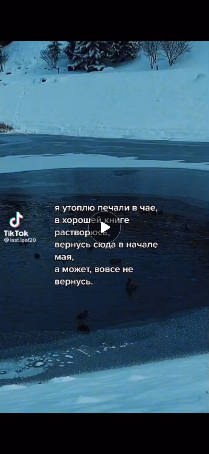 8cb71da62444df08595a6ffb4045f421.jpg