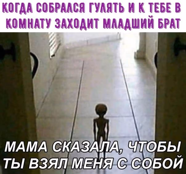8cbba25117887a91ce5d6548ed834b5b.jpg