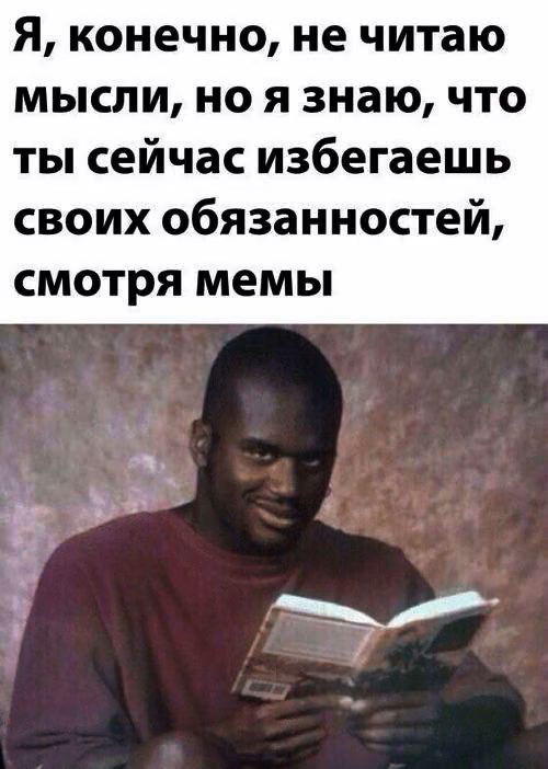 8cd88f5bc58b807743ccd817a525252e.avif