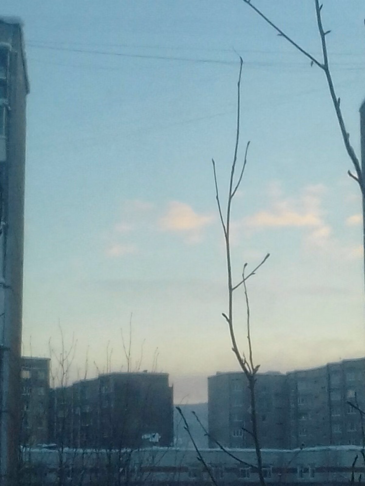 8ced01ebc976dc48f0d72c3d02599d98.jpg