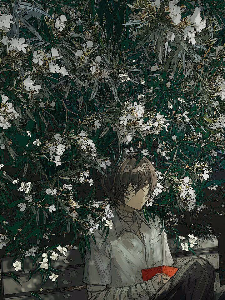 8cf0a2d2f6bca899a9055ac6fcc6adac.avif