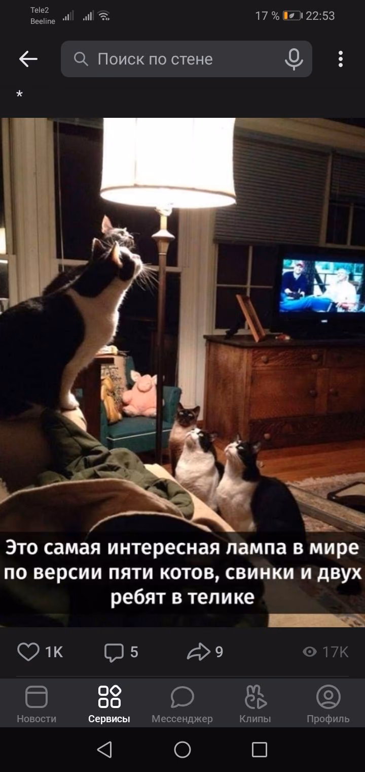8cf646102021518e337b3fa7acc5e0ca.jpg