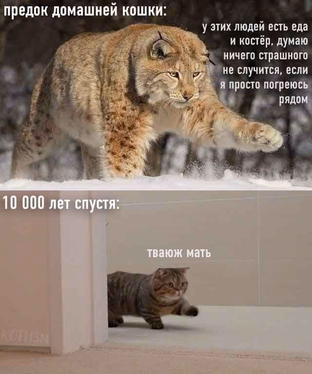 8cfa8eab205233f856f6d12f5cf1c235.jpg