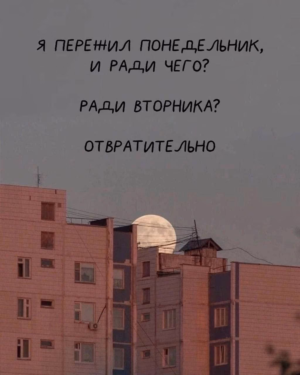 8d00f15f91836a2520f9a4a194d57a8c.avif