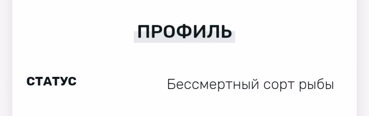 8d08b585b77d571e92680d7be2548704.avif