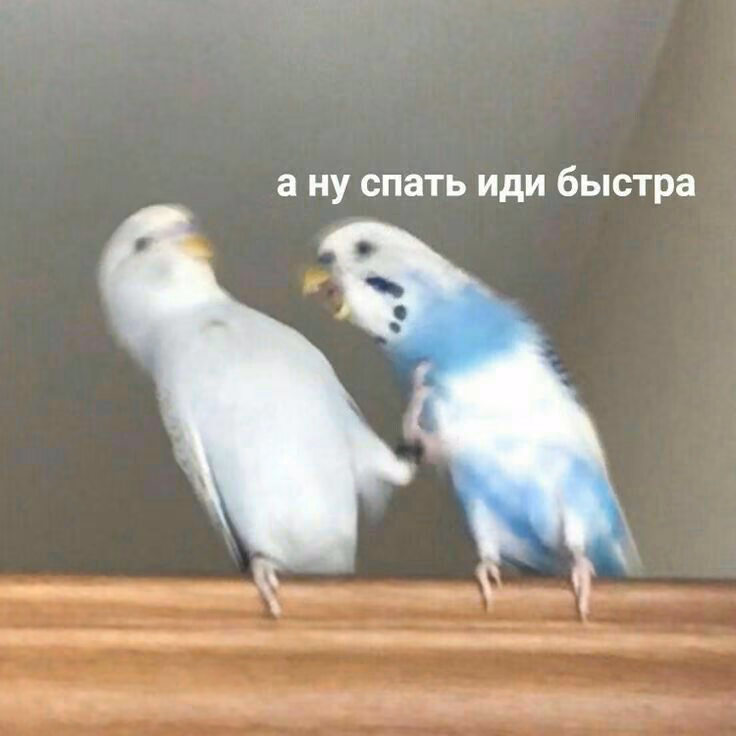 8d0a16e9145e34f08bfa5064f62d486d.jpg