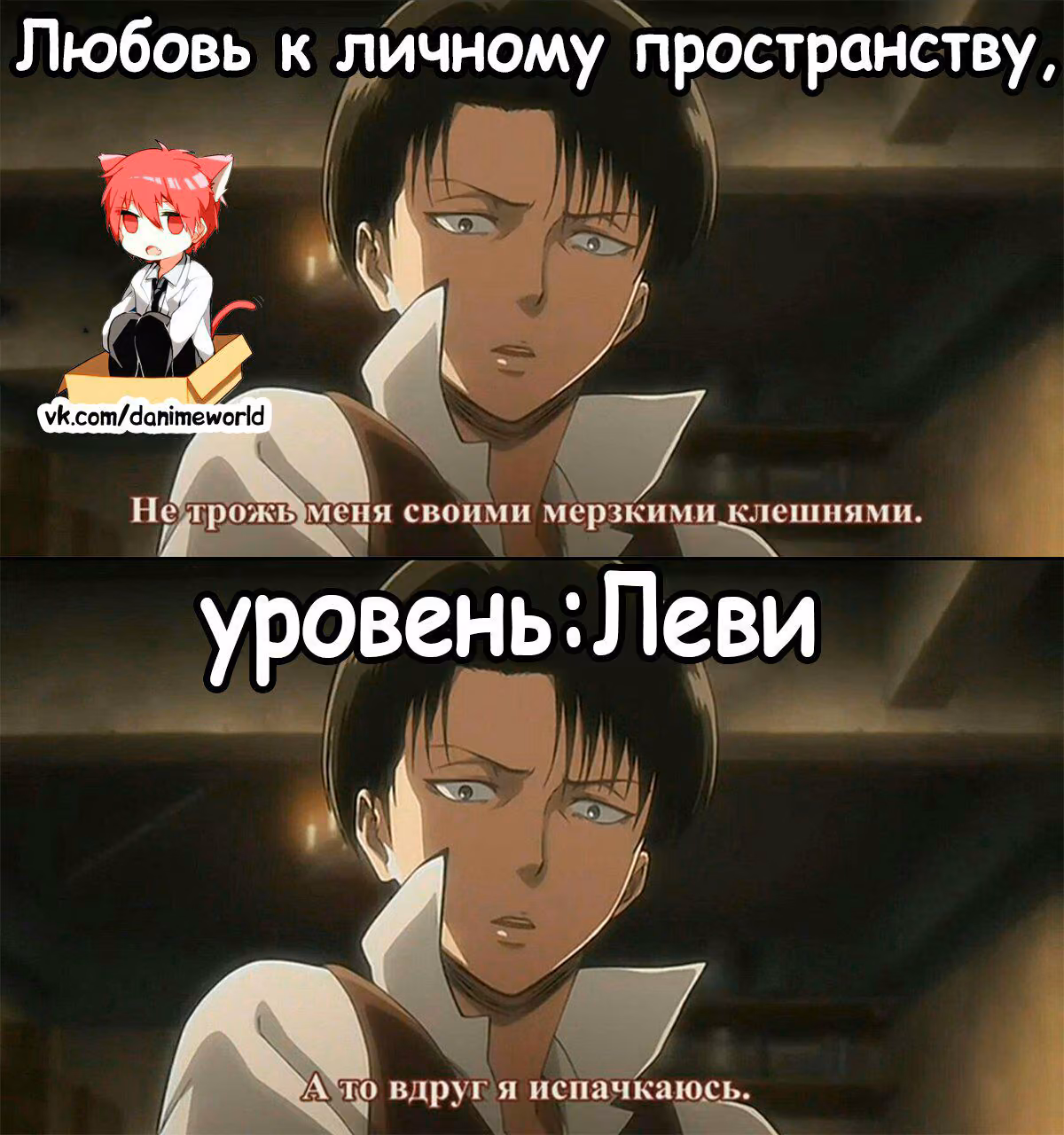 8d2085ac6a0c810c29f2a5daa71c7863.avif