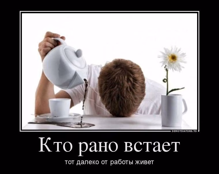 8d2406b62197706742c6bd913a211057.avif