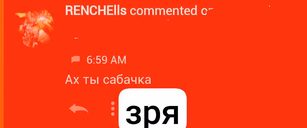 8d2e4a2da904af95337e00abf664a28f.avif