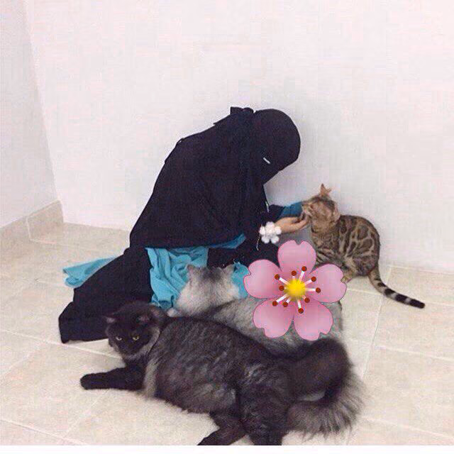 8d38e8bbeba25614c373aabd995ee610.jpg