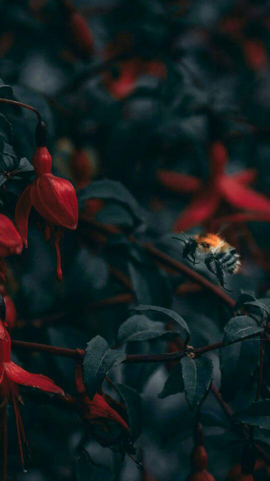 8d3cf7f43e21edafb5bc542f3cc5a4fc.jpg