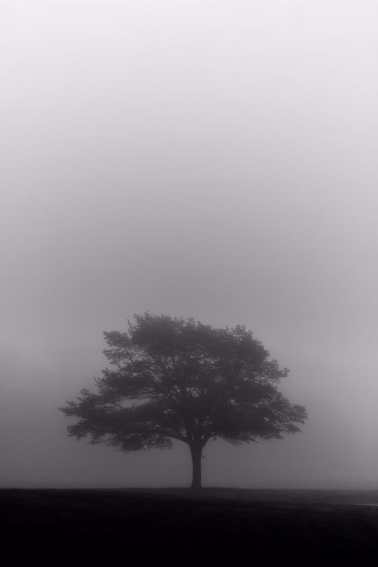 8d42f4c16951304a963d8af3245d5cf4.jpg
