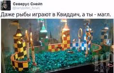 8d47d0173f6ca9bbeb5e2ede2c84731a.avif