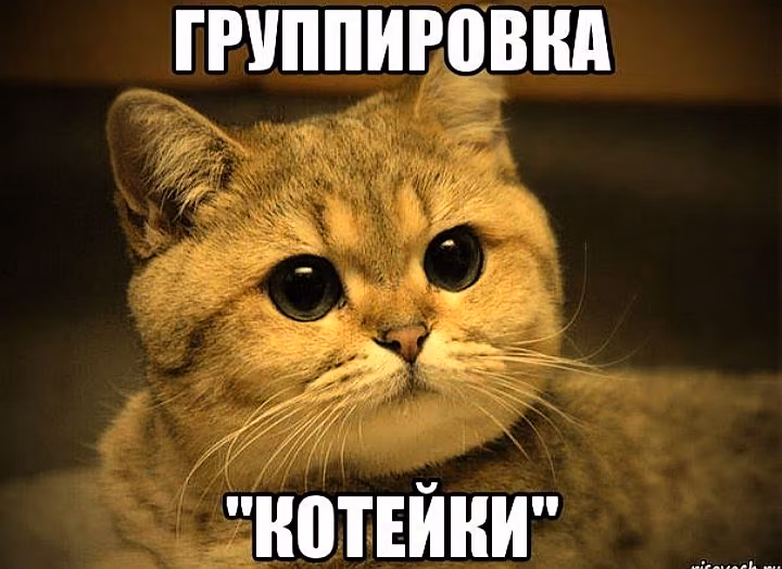 8d49c7237f27d09cdff6f9bb9265a1df.jpg