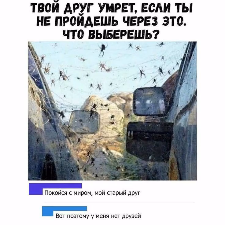 8d4adfd0defe5c004e74c8b5d3bff674.jpg