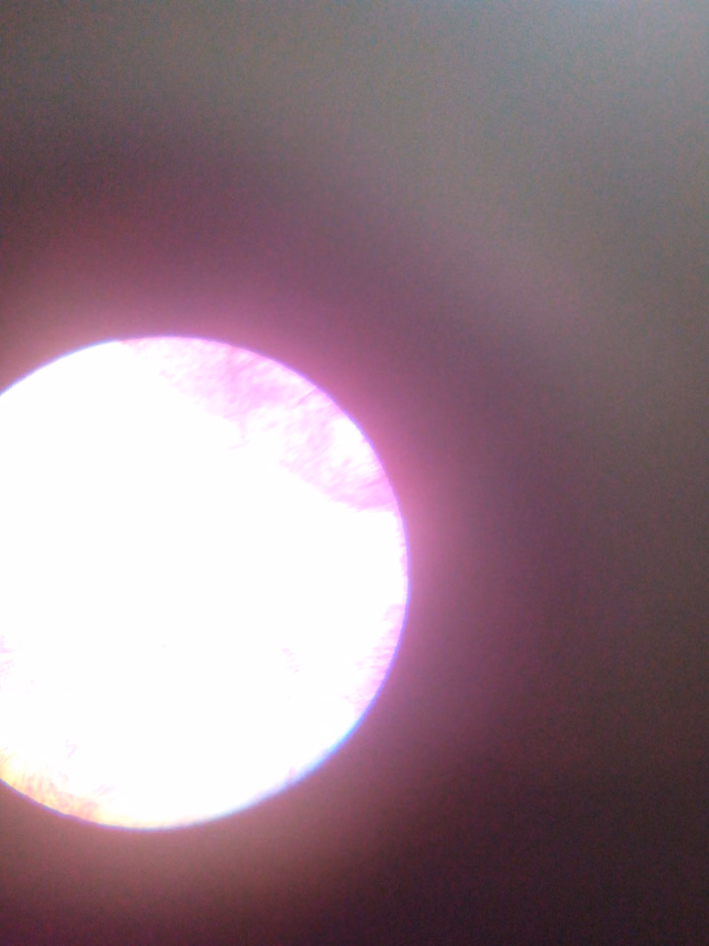8d52d6b25a9347203eb9e4c4631698b5.avif