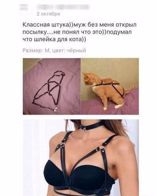 8d5e94a67e8f1fe8b4bb111d5d4a6e64.avif