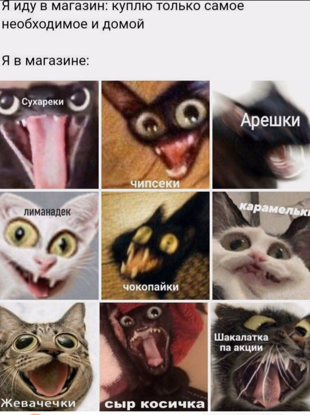 8d6bf28510d0584ed38c1cdc83982424.avif