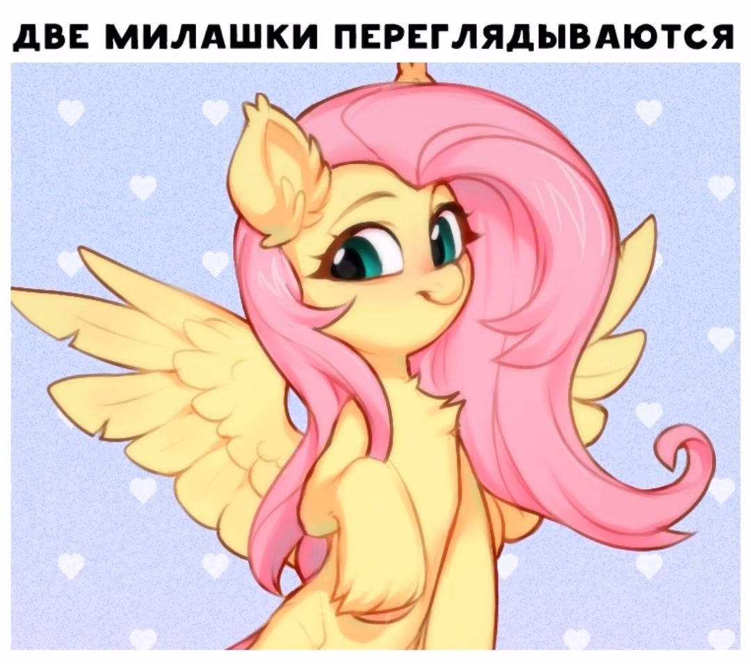 8d7603efb52269b068071433e671d982.jpg