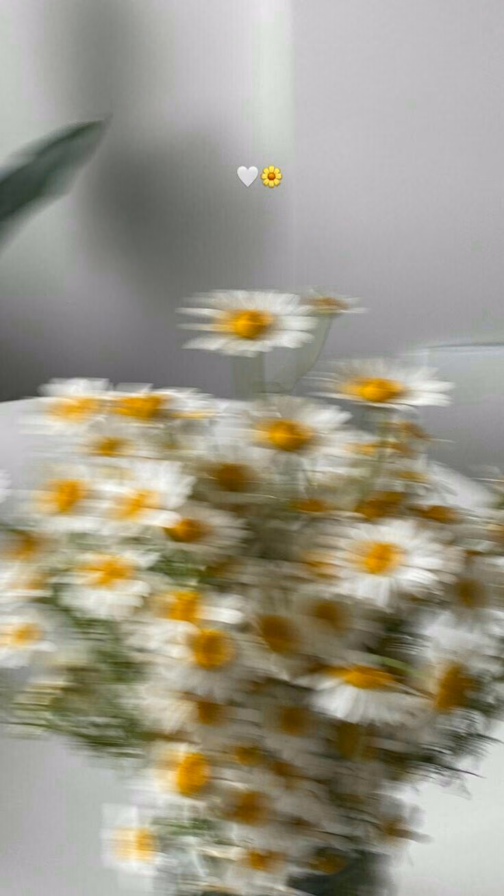 8d8f1f4d11cb3cae6bb0bd7d4a13d54e.avif