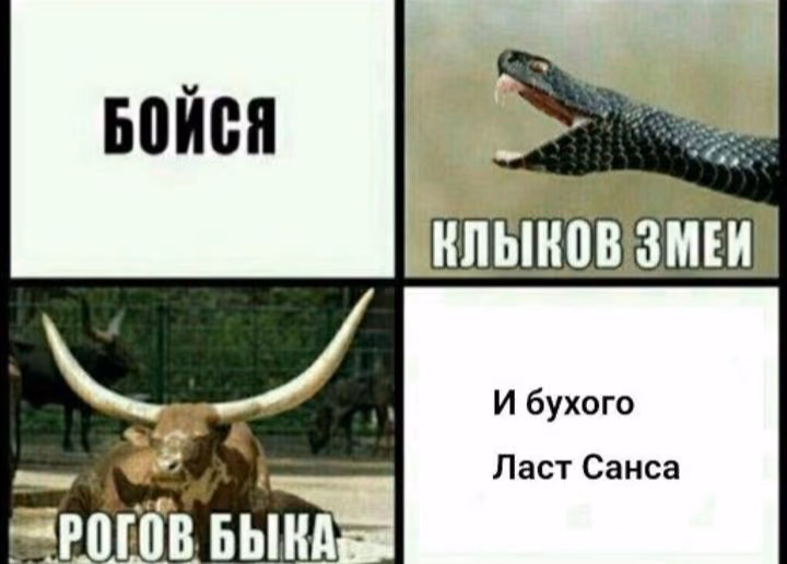 8d8f75320ce9a4e7059f9691f49e2dba.jpg