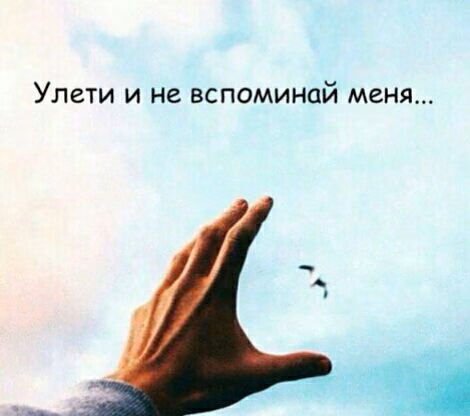 8daa813b88cf2b8dc4badf71cac66ee6.jpg