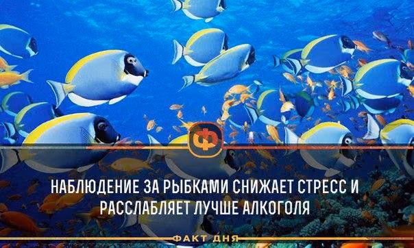 8dbcb6800b9de5f1d120f7938a300bab.jpg