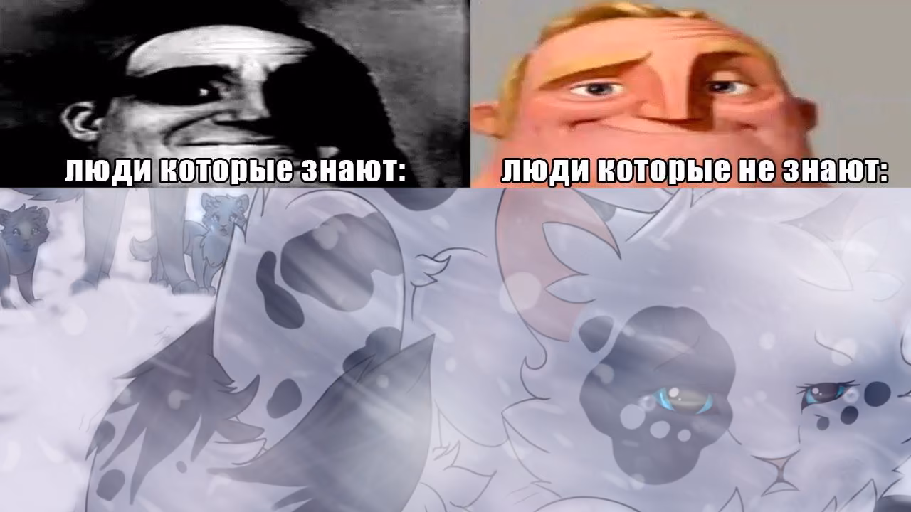 8dc94f6f1bbf5094dac03fde83384f9d.avif