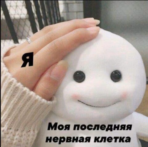 8dcaae4b36caf3333acfa80e1be5df27.avif