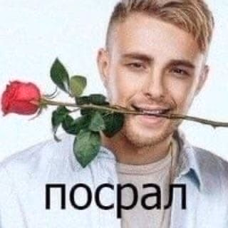 8dd675dee6d3a541119c93528ffd096e.avif