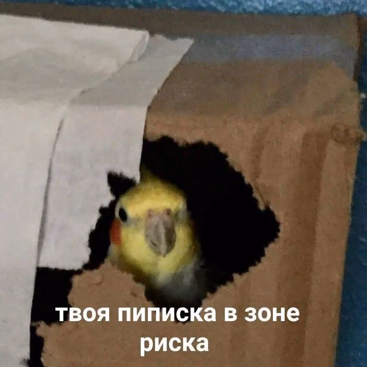 8ddcd0c6fb48753cd1a548ccce39b979.jpg