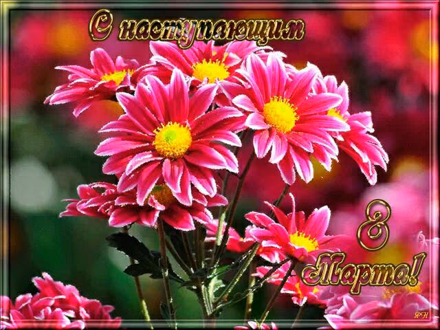 8de84c3edb9ed12b6ff151b315226a41.avif